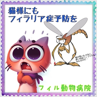 ネコフィラリア.jpg